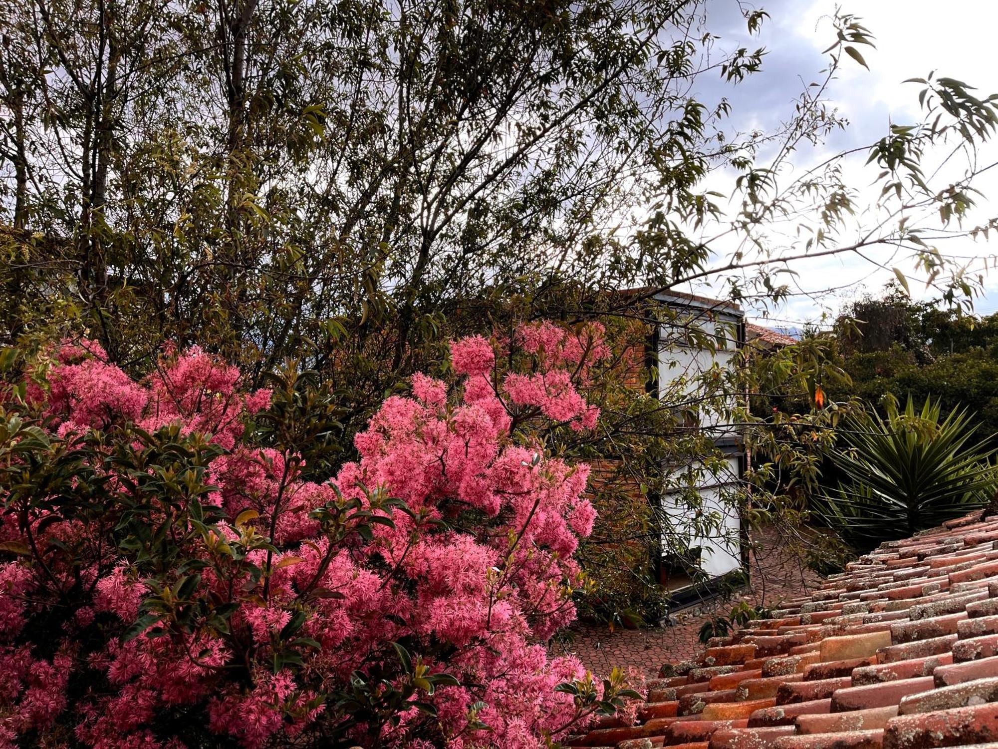 Casa Lloret Cuenca Luaran gambar