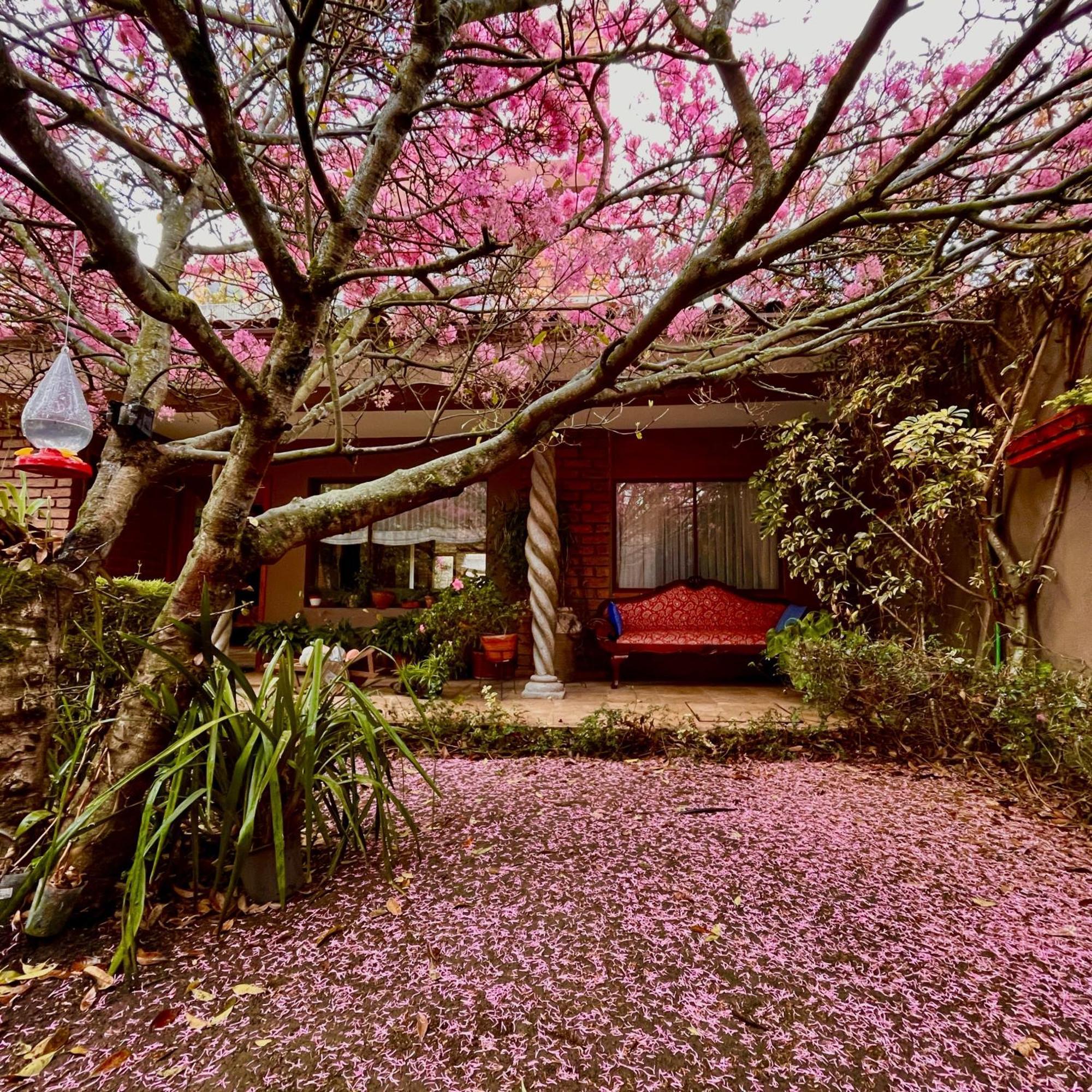 Casa Lloret Cuenca Luaran gambar